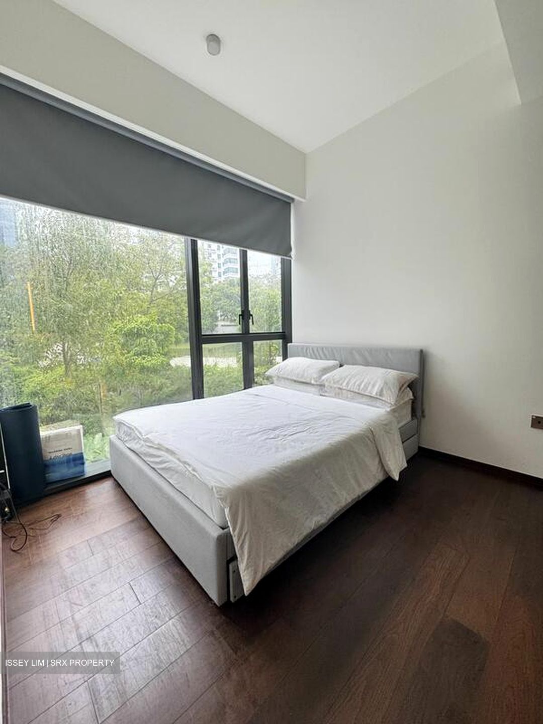 Leedon Green (D10), Condominium #498616031